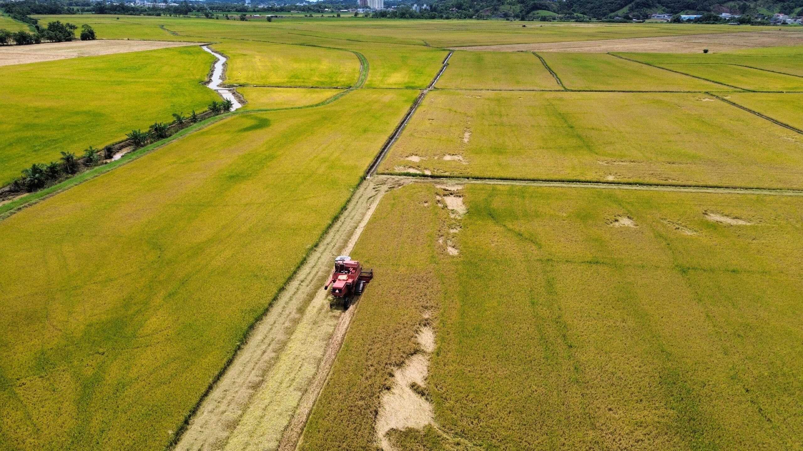 Gaspar celebra o agricultor com semana de atividades no meio rural