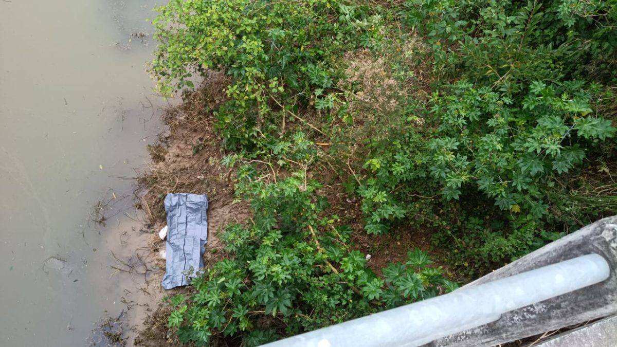 Homem é encontrado morto às margens do Rio Benedito, próximo à BR-470 em SC