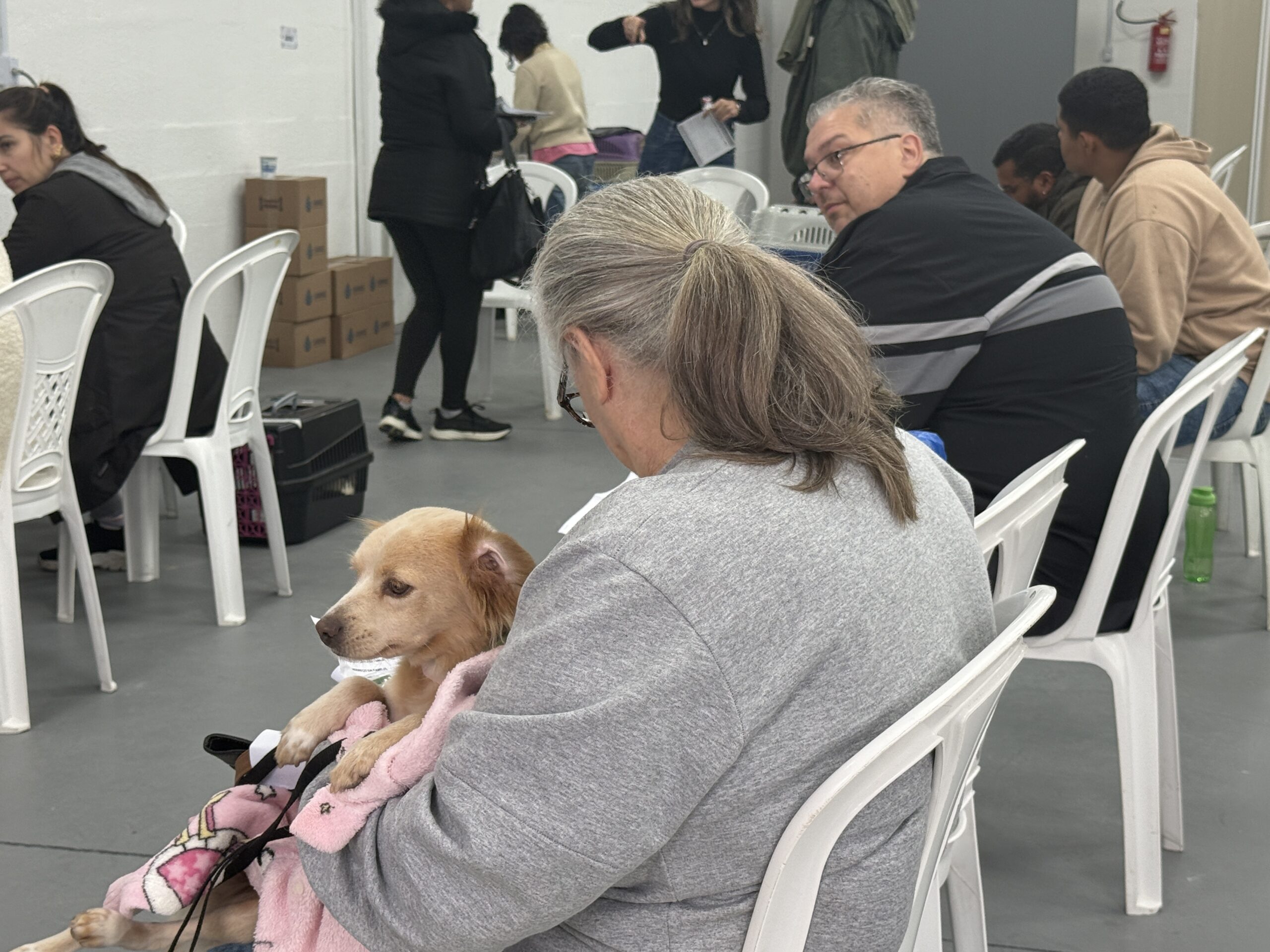 Prefeitura de Gaspar abre inscrições para mutirão de castração pet no bairro Gaspar Mirim